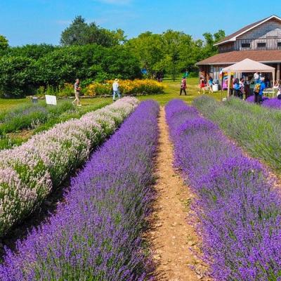 Hidden Gem: Prince Edward County, Ontario